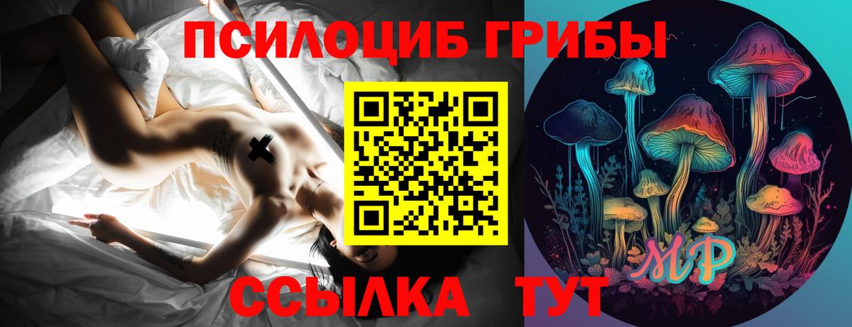 Галлюциногенные грибы мухоморы  Вход с VPN  Сальск 