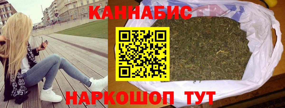 Каннабис план Сальск
